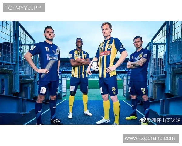 中央海岸与惠灵顿比赛结果分析及比分预测展望