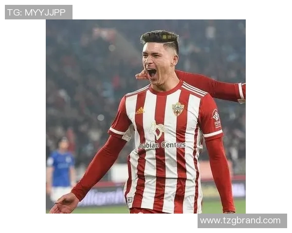 努涅斯在赛场上的崛起与挑战解析以及未来发展潜力展望 努涅斯在赛场上的崛起与挑战解析以及未来发展潜力展望