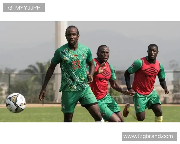 埃及与津巴布韦足球对决分析:历史交锋与战术解析 埃及与津巴布韦足球对决分析:历史交锋与战术解析