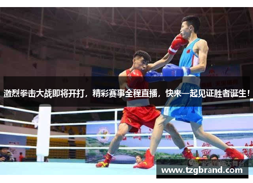 激烈拳击大战即将开打，精彩赛事全程直播，快来一起见证胜者诞生！