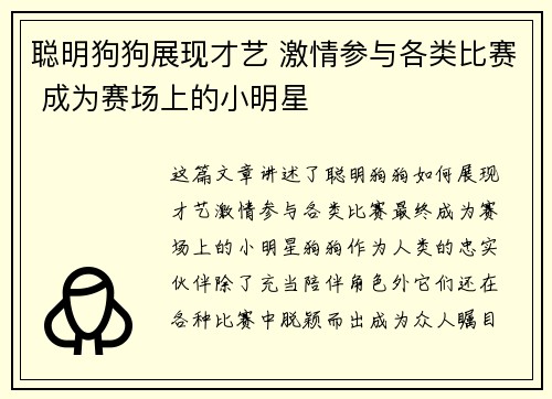 聪明狗狗展现才艺 激情参与各类比赛 成为赛场上的小明星