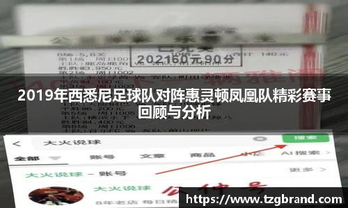 2019年西悉尼足球队对阵惠灵顿凤凰队精彩赛事回顾与分析