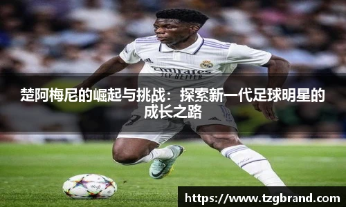 u8国际官网入口